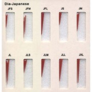 다이아덴트 악세사리콘 (일제타입)